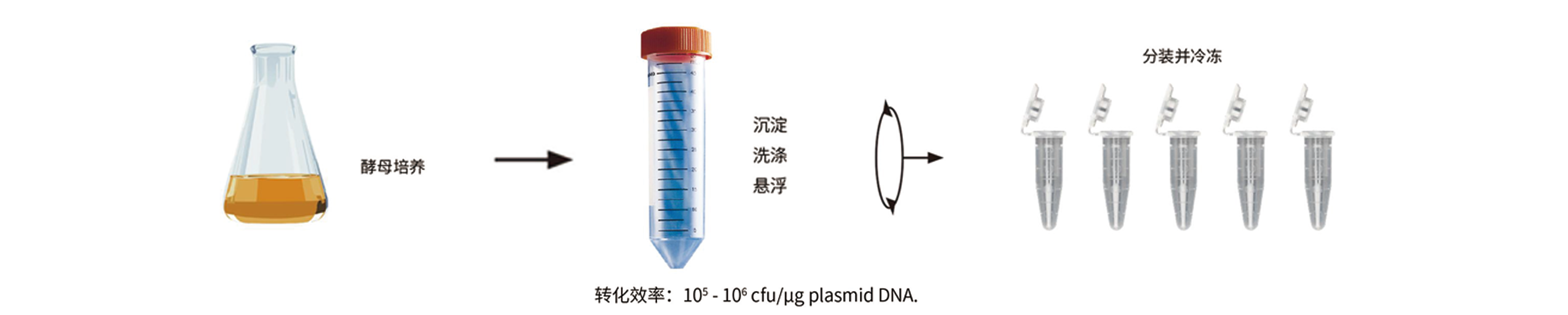 優(yōu)享價(jià)酵母買贈(zèng).png