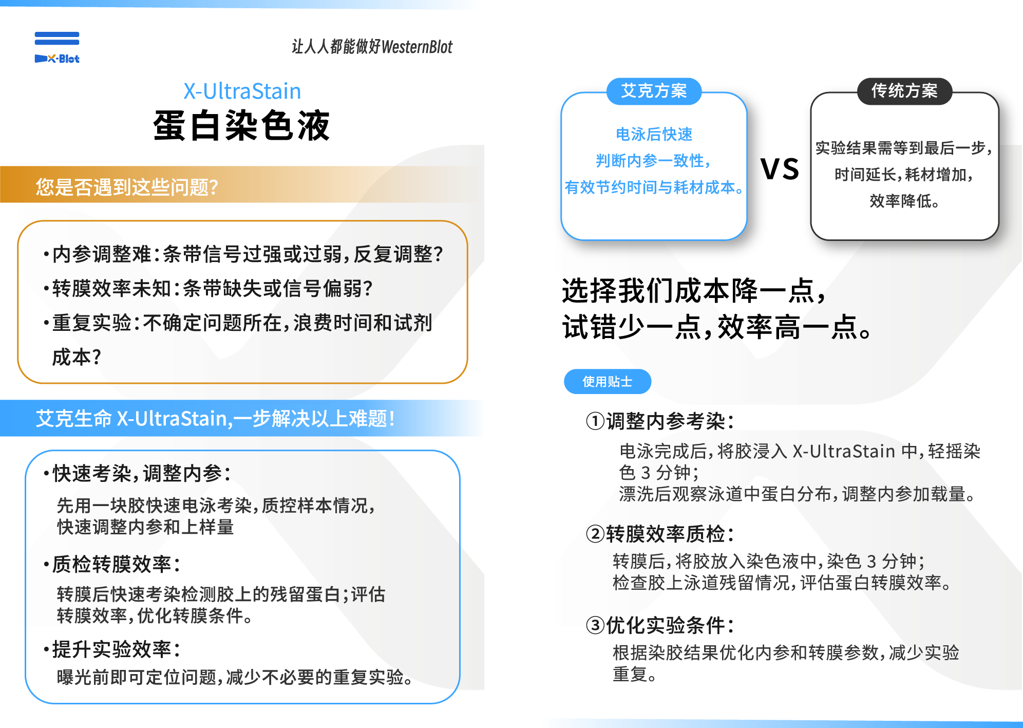 染色液.jpg